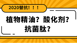 【2020替抗】倒计时开启，饲料替抗添加剂你还分不清怎么用？