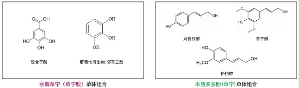 水解单宁单体组合