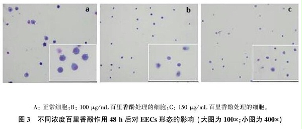 百里香酚对山羊子宫内膜上皮细胞的体外毒活性研究3