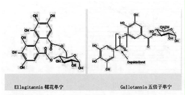 水解单宁酸对动物营养与健康的积极作用1