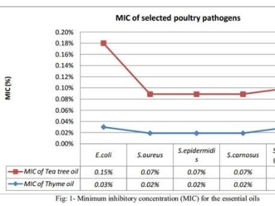 百里香和茶树精油的植物化学分析和对所选家禽分离菌株抗菌比较