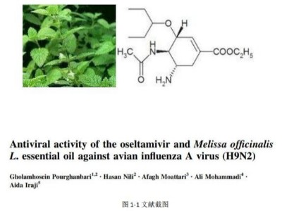 文献解读：奥司他韦、香蜂草精油对禽流感病毒(H9N2)的抗病毒活性